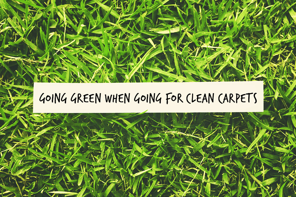 Going Green When Going For Clean Carpets